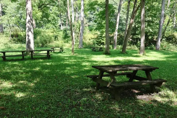 Picnic Area